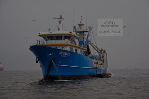 cfg-copeinca-intellisign