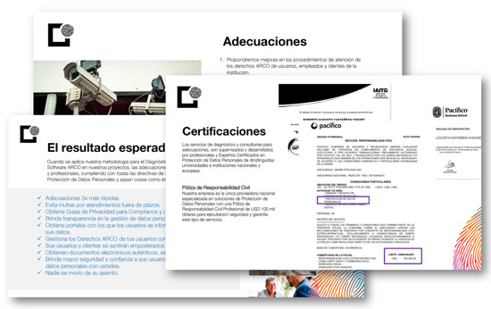 Brochure de la consultoría